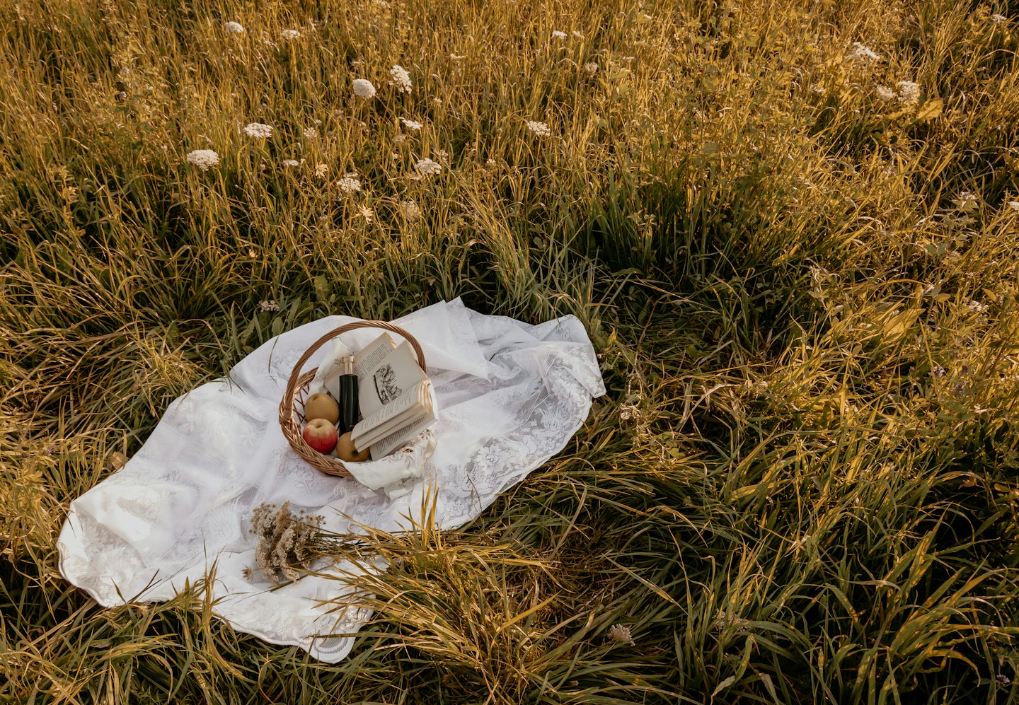 A picnic basket and apples rest on a blanket in grass.